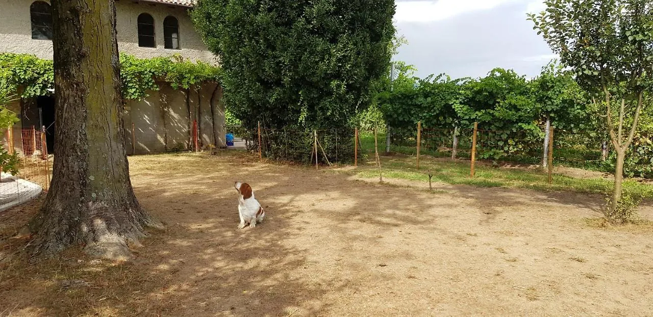 Alle Zagare Refrontolo 0*,  Italia